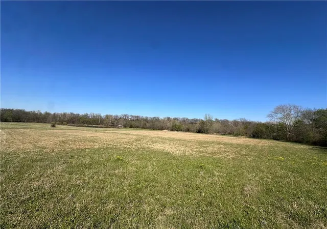 Homes for sale in El Dorado Springs, MO | 92 5 S 82 Hwy, El Dorado Springs, MO 64744 | MLS# 2613557