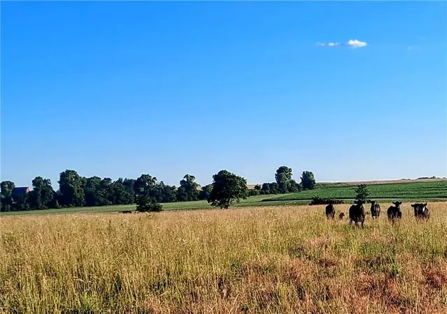 1st image of Bethel Church Rd, Paola, KS 66071 | MLS# 2613753