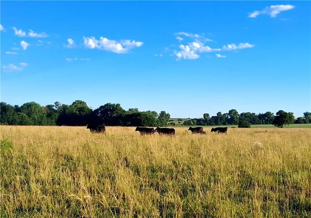3rd image of Bethel Church Rd, Paola, KS 66071 | MLS# 2613753