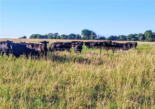 99th image of Bethel Church Rd, Paola, KS 66071 | MLS# 2613753