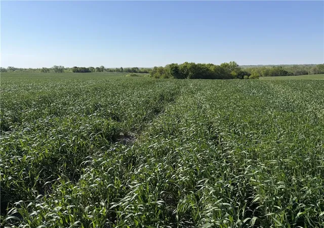 Photo 3 of Land for sale at Tbd H Hwy, Darlington, MO 64438 | MLS# 2614403 | Listing updated on 2026-06-16