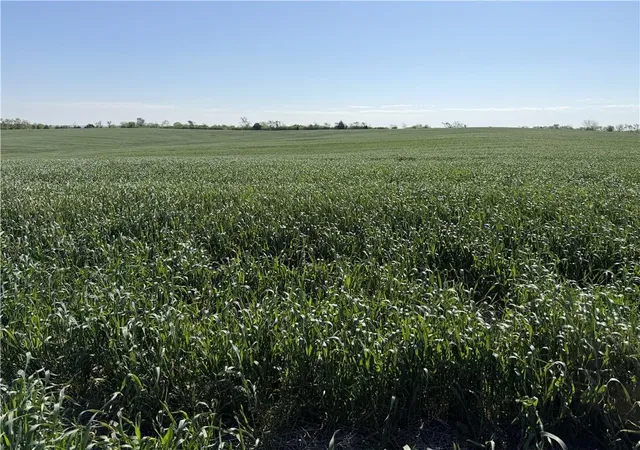 Photo 4 of Land for sale at Tbd H Hwy, Darlington, MO 64438 | MLS# 2614403 | Listing updated on 2026-06-16