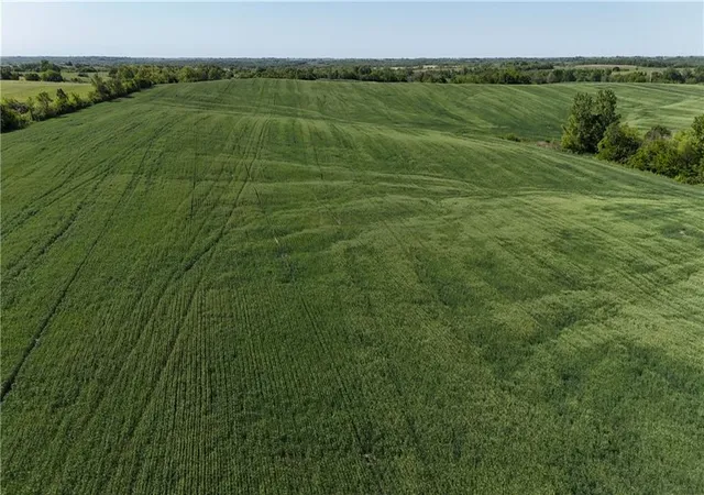 Photo 5 of Land for sale at Tbd H Hwy, Darlington, MO 64438 | MLS# 2614403 | Listing updated on 2026-06-16