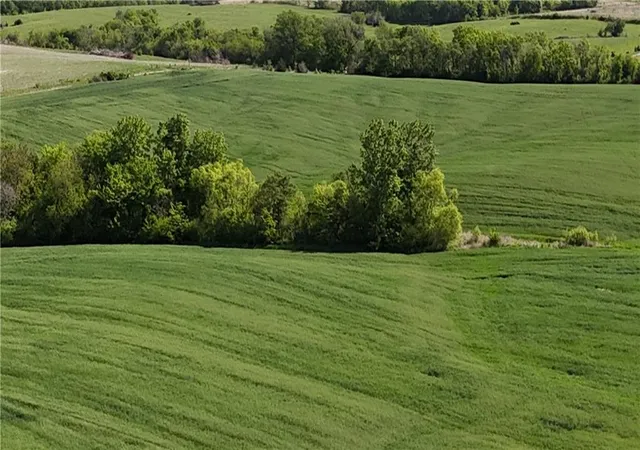 Photo 5 of Land for sale at Tbd #2 H Hwy, Darlington, MO 64438 | MLS# 2614420 | Listing updated on 2026-06-16