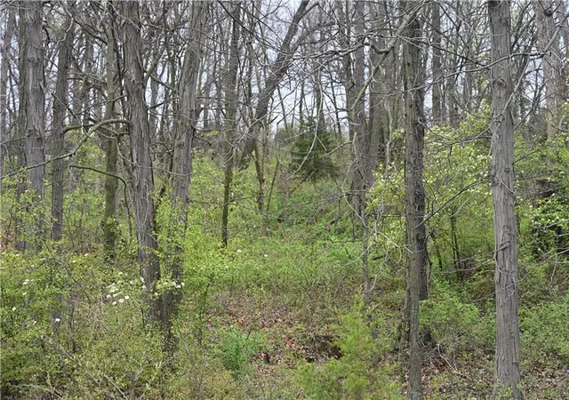 Photo 25 of Land for sale at Hwy C, Huntsville, MO 65259 | MLS# 2615625 | Listing updated on 2026-06-13