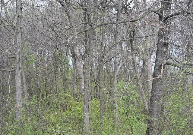 Photo 4 of Land for sale at State Hwy C, Huntsville, MO 65259 | MLS# 2615689 | Listing updated on 2026-04-21