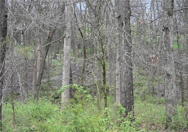 Photo 13 of Land for sale at State Hwy C, Huntsville, MO 65259 | MLS# 2615696 | Listing updated on 2026-04-21