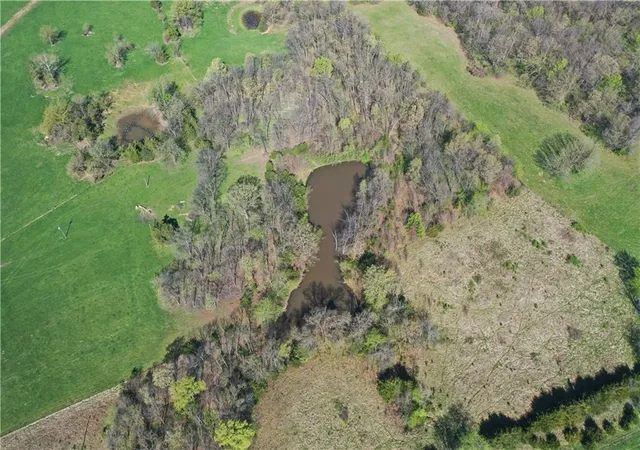 Photo 11 of Land for sale at Hwy C, Huntsville, MO 65259 | MLS# 2615704 | Listing updated on 2026-04-21
