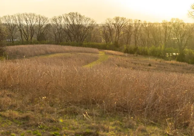 49th image of Ruth Ewing Rd, Liberty, MO 64068 | MLS# 2615845