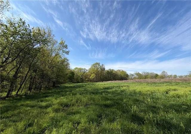 Homes for sale in Albany, MO | C Hwy, Albany, MO 64402 | MLS# 2617157