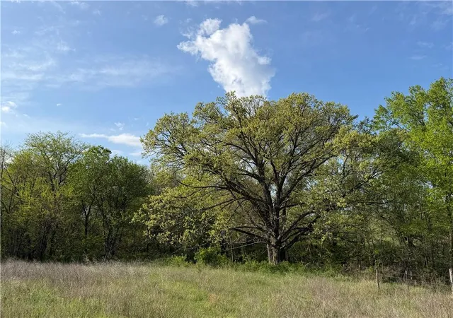 Photo 3 of Land for sale at C Hwy, Albany, MO 64402 | MLS# 2617157 | Listing updated on 2026-06-09