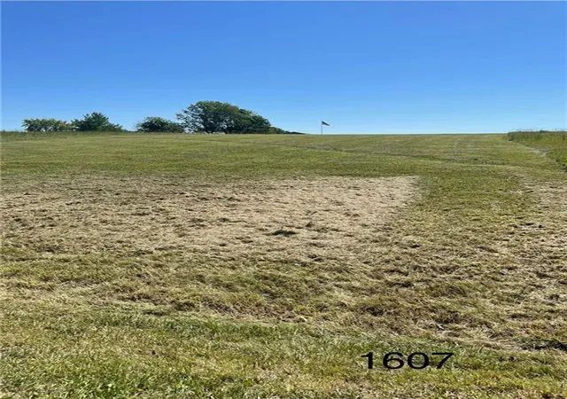 Homes for sale in Altamont, MO | Lot 1607 Lake Viking Ter, Altamont, MO 64620 | MLS# 2617238