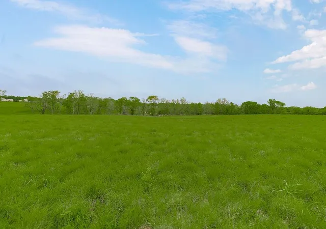 Photo 3 of Land for sale at Lot 1a Timber Valley 203rd St, Pleasant Hill, MO 64080 | MLS# 2617292 | Listing updated on 2026-06-12