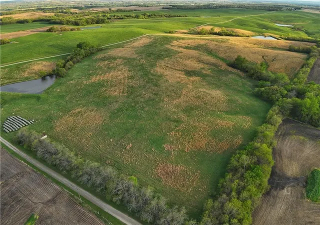 Photo 3 of Land for sale at County Rd 91 St, Grant City, MO 64456 | MLS# 2617339 | Listing updated on 2026-09-29
