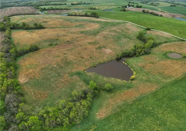Photo 3 of Land for sale at County Rd 91 St, Grant City, MO 64456 | MLS# 2617339 | Listing updated on 2026-09-29