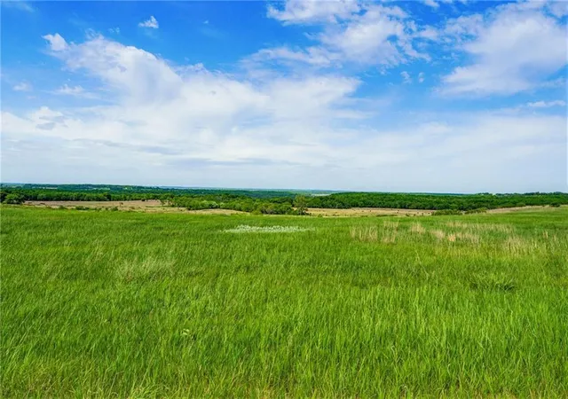 Homes for sale in Overbrook, KS | 160 Acres M/L N 750 Rd, Overbrook, KS 66524 | MLS# 2618141