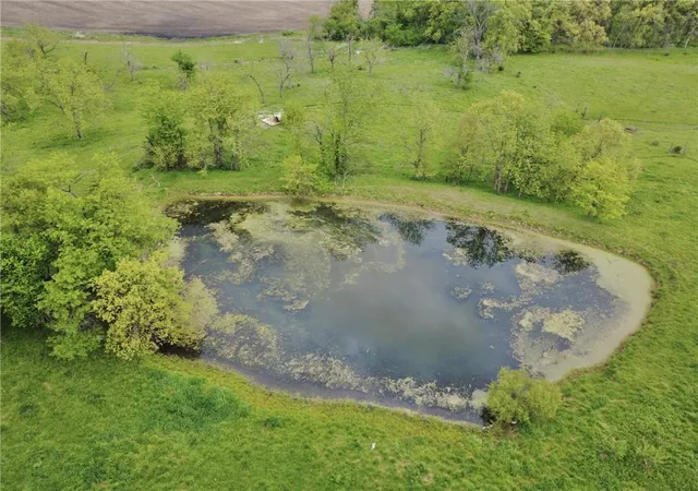 Photo 4 of Land for sale at Hwy D, Princeton, MO 64673 | MLS# 2619198 | Listing updated on 2026-07-01
