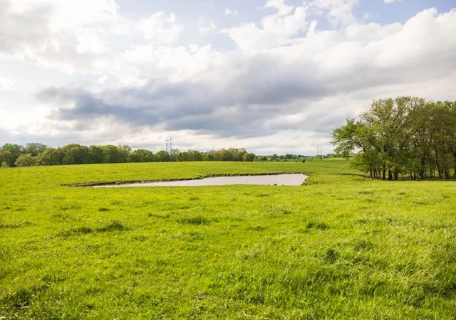 41st image of 21225 Ne 134th St, Kearney, MO 64060 | MLS# 2619222