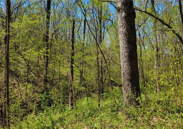 Photo 55 of Single family home for sale at 5050 SW Over Hwy, Trimble, MO 64492 | MLS# 2619425 | Listing updated on 2026-10-05