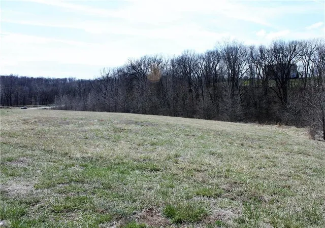 3rd image of 10000 N Cypress Ave, Kansas City, MO 64156 | MLS# 2619542