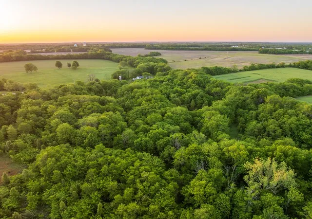 34th image of 15800 S State Route 7 Hwy, Pleasant Hill, MO 64080 | MLS# 2620403