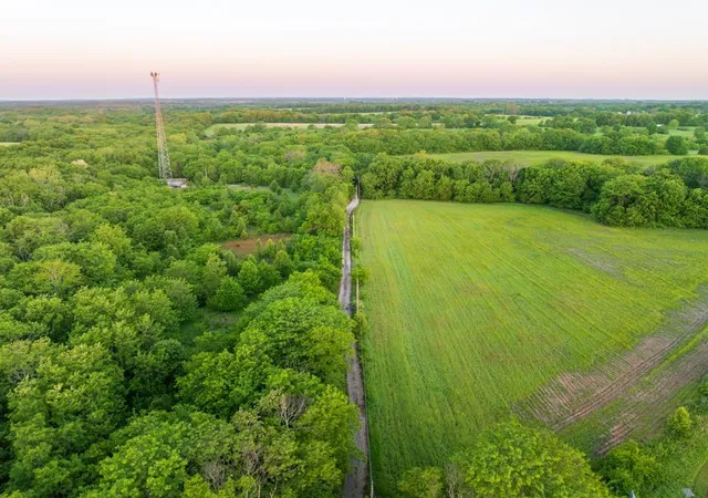 5th image of 15800 S State Route 7 Hwy, Pleasant Hill, MO 64080 | MLS# 2620403