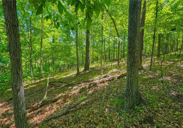 4th image of Lot #1190 Spring Creek Dr, Sunrise Beach, MO 65079 | MLS# 2620575