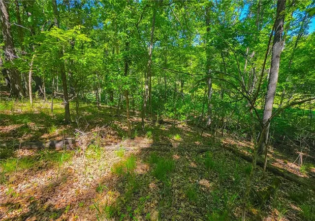 5th image of Lot #1190 Spring Creek Dr, Sunrise Beach, MO 65079 | MLS# 2620575