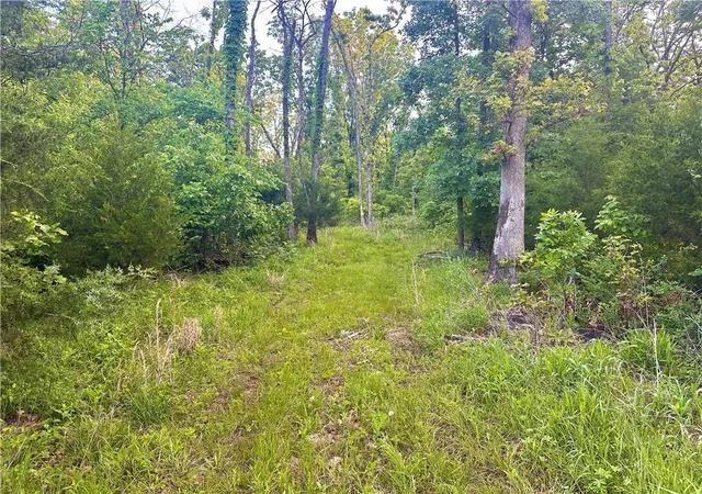 Homes for sale in Jerico Springs, MO | E 2100 Rd, Jerico Springs, MO 64756 | MLS# 2620627