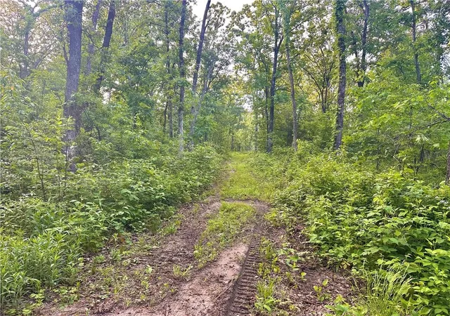 Homes for sale in Jerico Springs, MO | E 2100 Rd, Jerico Springs, MO 64756 | MLS# 2620627