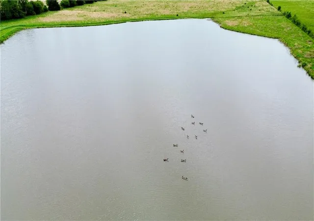 7th image of Moonlight (40+/  Acres) Rd, Spring Hill, KS 66083 | MLS# 2620679