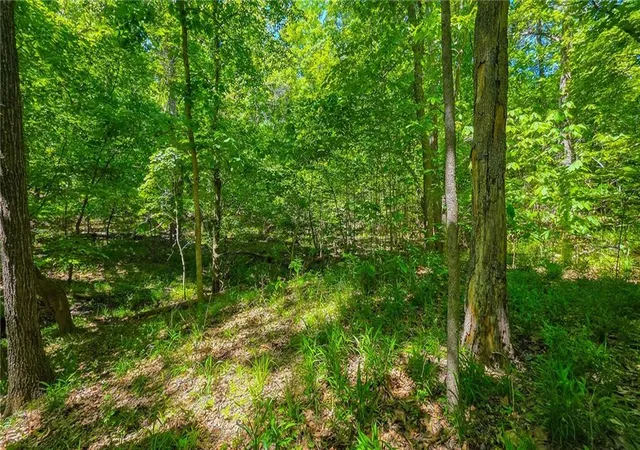 Photo 5 of Land for sale at Lot #1148 Spring Crk Dr, Sunrise Beach, MO 65079 | MLS# 2620759 | Listing updated on 2026-05-18