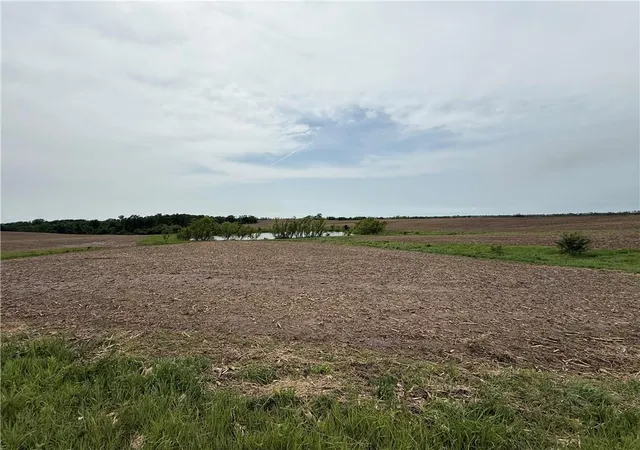 Homes for sale in Purdin, MO | Y Hwy, Purdin, MO 64674 | MLS# 2621119