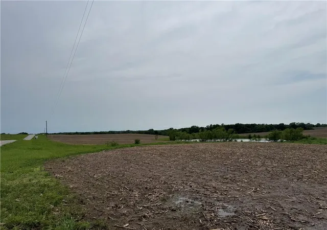 Homes for sale in Purdin, MO | Y Hwy, Purdin, MO 64674 | MLS# 2621119