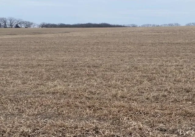 Homes for sale in Mc Louth, KS | 0000 243rd St, Mc Louth, KS 66054 | MLS# 2621230