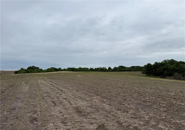 Homes for sale in Purdin, MO | Cotton Rd, Purdin, MO 64674 | MLS# 2621569