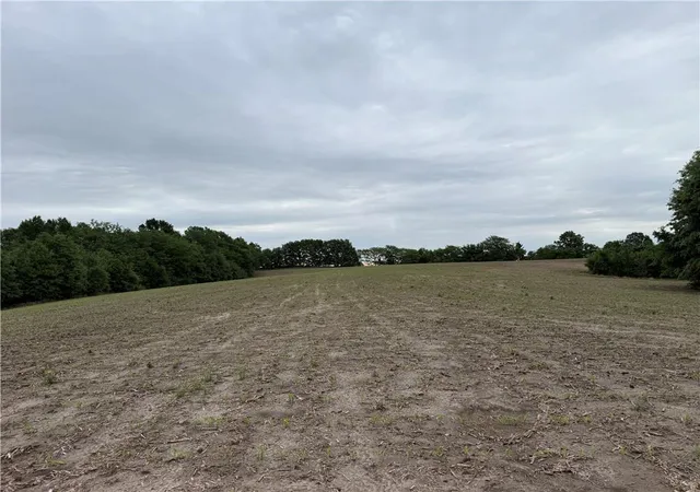 Homes for sale in Purdin, MO | Cotton Rd, Purdin, MO 64674 | MLS# 2621569
