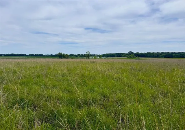Homes for sale in Baldwin City, KS | 0000 E 900 Rd, Baldwin City, KS 66006 | MLS# 2621664