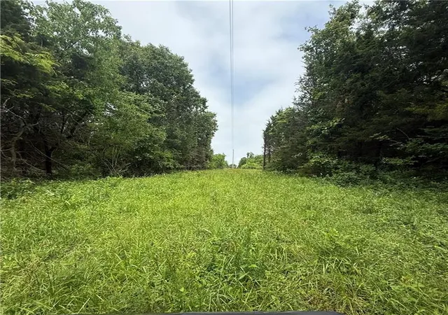 Homes for sale in Deepwater, MO | Se 1100 Rd, Deepwater, MO 64760 | MLS# 2621780
