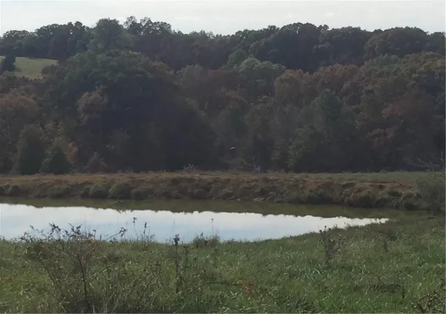 20th image of Hwy Ww N/a, Harris, MO 64645 | MLS# 2623261