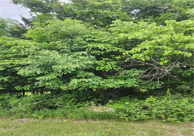 3rd image of 50 Ridgewood Dr, Linn Valley, KS 66040 | MLS# 2624082