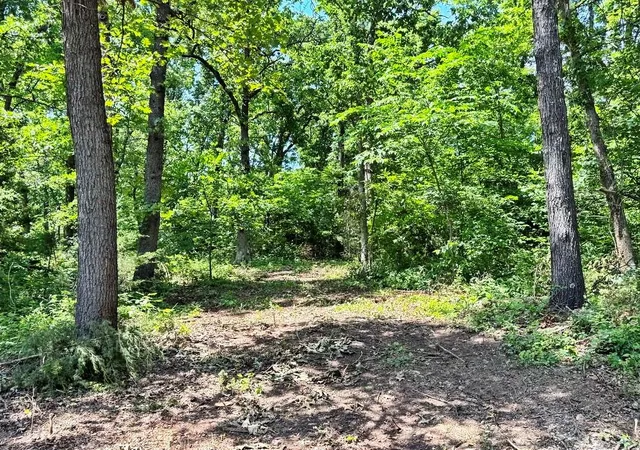 Homes for sale in Jerico Springs, MO | Tbd1 E 1550 Rd, Jerico Springs, MO 64756 | MLS# 2624448