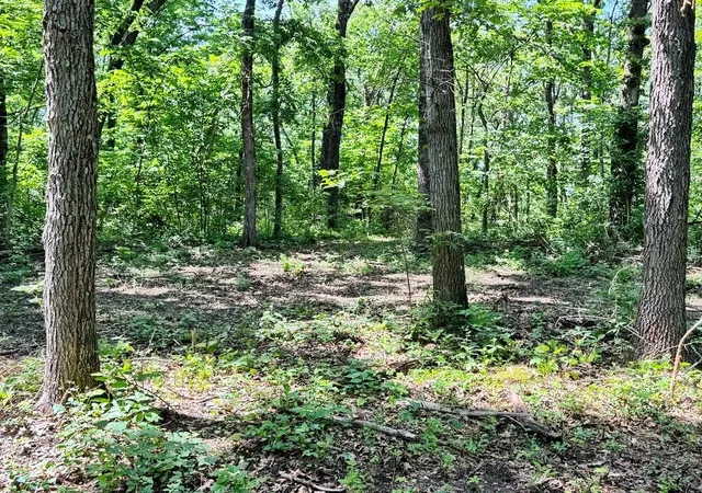 Homes for sale in Jerico Springs, MO | Tbd1 E 1550 Rd, Jerico Springs, MO 64756 | MLS# 2624448