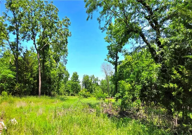 3rd image of 1 Shady Hollow Dr, Linn Valley, KS 66040 | MLS# 2624453