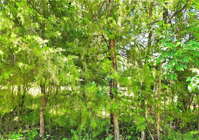 4th image of 1 Shady Hollow Dr, Linn Valley, KS 66040 | MLS# 2624453