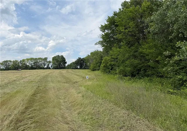 Photo 3 of Land for sale at S Gibbons Lot 3 Rd, Pleasant Hill, MO 64080 | MLS# 2624853 | Listing updated on 2026-06-10