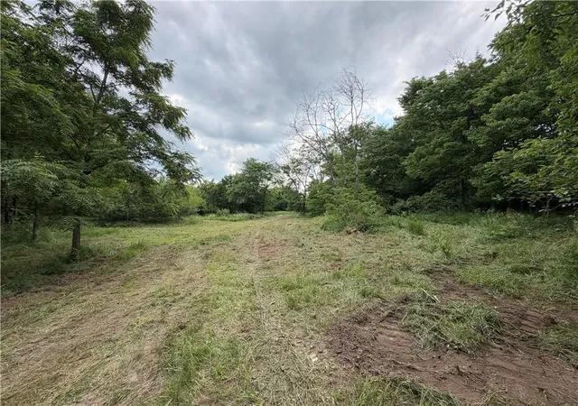 Photo 3 of Land for sale at S Gibbons Lot 3 Rd, Pleasant Hill, MO 64080 | MLS# 2624853 | Listing updated on 2026-10-02