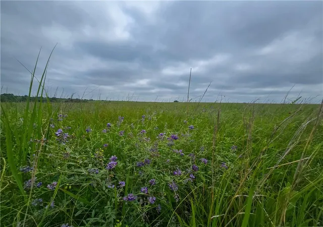 Homes for sale in Burlingame, KS | 3900 Road X N/A, Burlingame, KS 66413 | MLS# 2624856