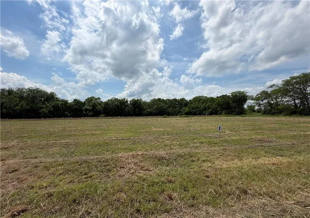 Photo 3 of Land for sale at 19300 E 181st Street, Pleasant Hill, MO 64080 | MLS# 2624862 | Listing updated on 2026-06-11