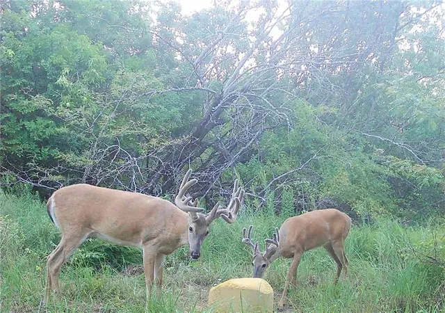 Photo 1 of Land for sale at 1673 17th Road, Waverly, KS 66871 | MLS# 2625135 | Listing updated on 2026-08-06